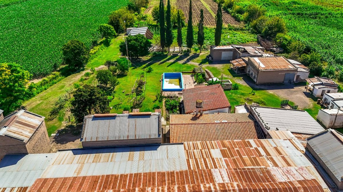 CAMPO VENTA 23 HECTAREAS RP 21 CERRILLOS - foto 10
