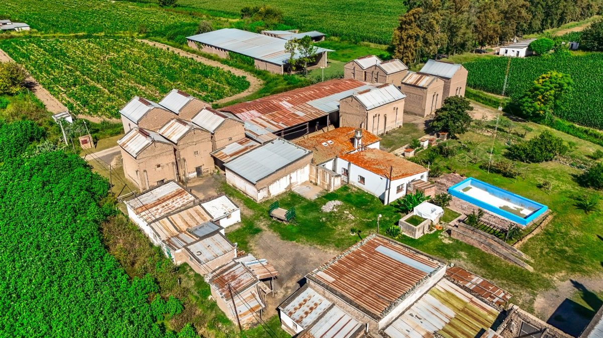 CAMPO VENTA 23 HECTAREAS RP 21 CERRILLOS - foto 7