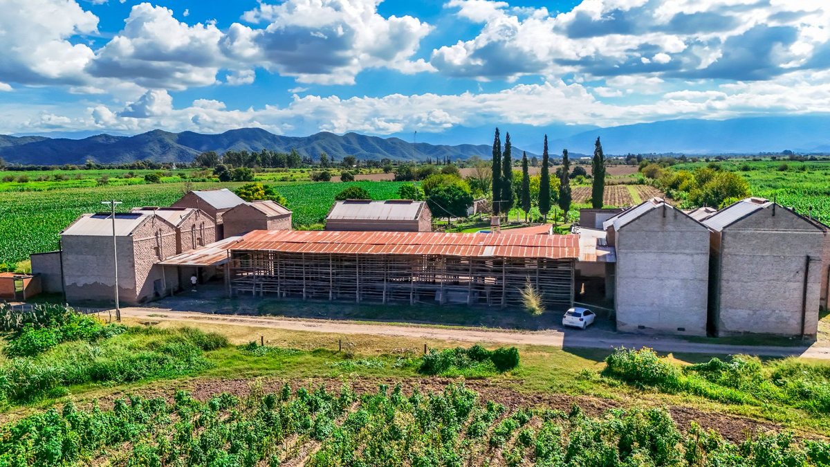 CAMPO VENTA 23 HECTAREAS RP 21 CERRILLOS - foto 19