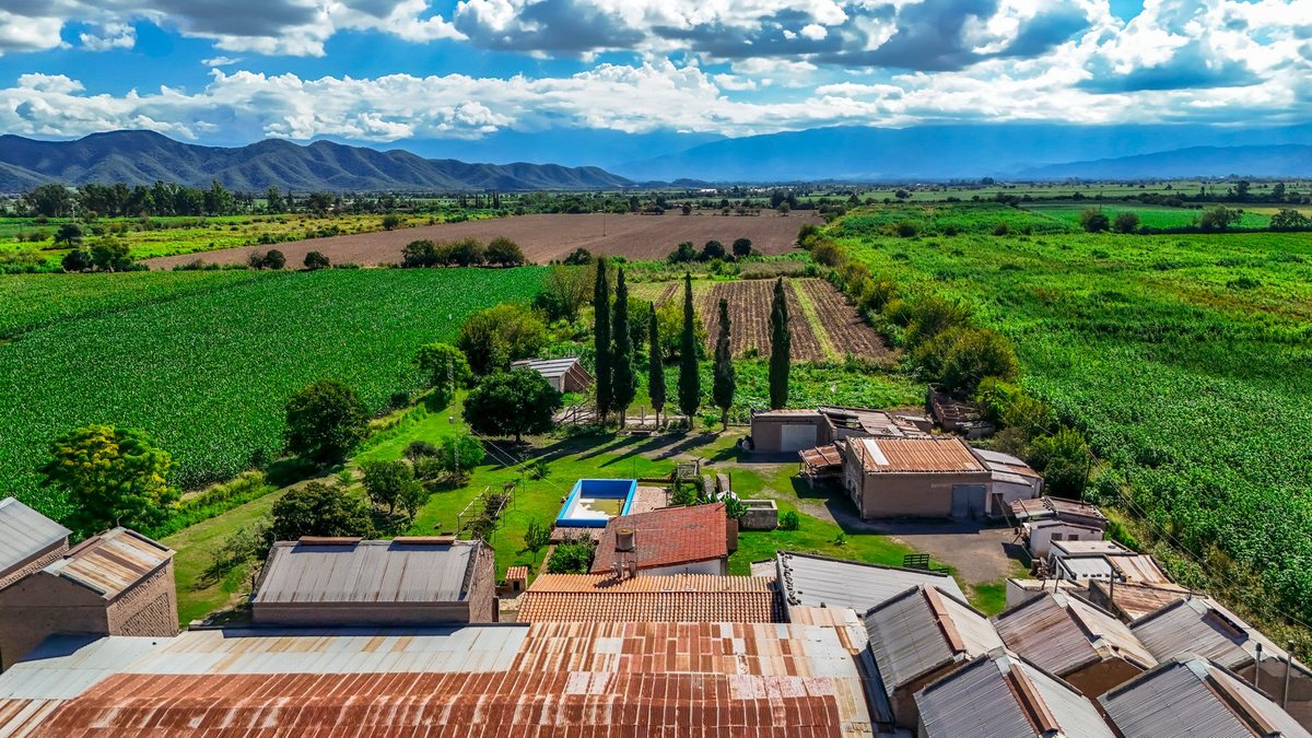 CAMPO VENTA 23 HECTAREAS RP 21 CERRILLOS - foto 20