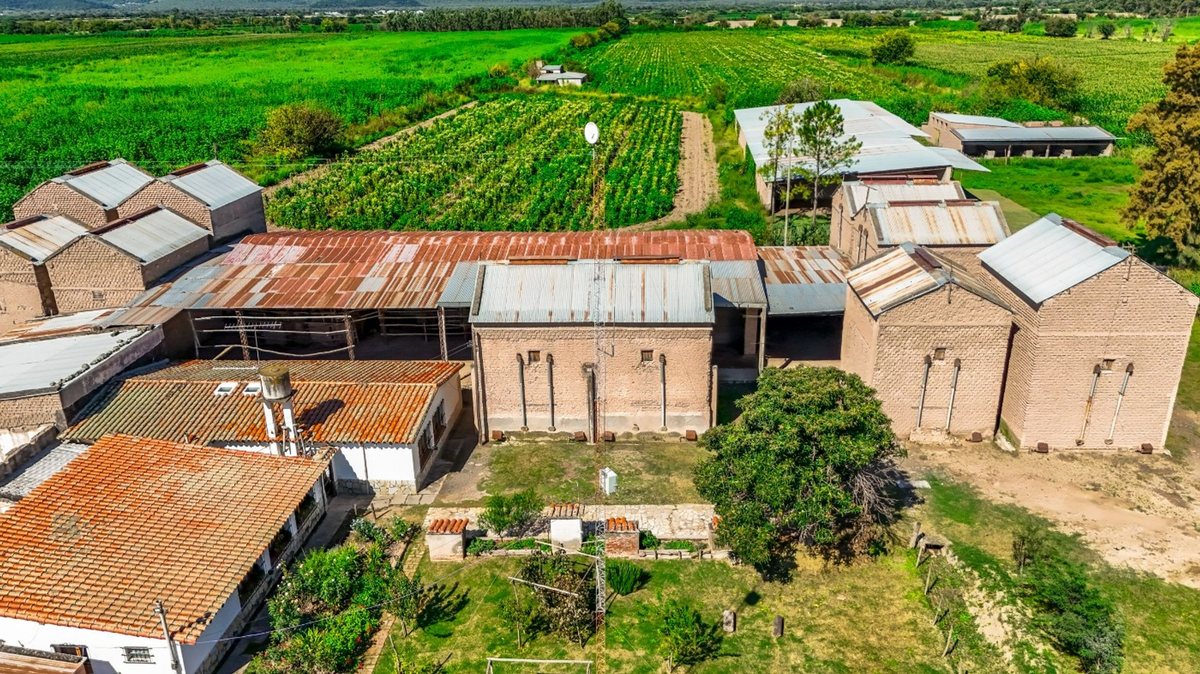 CAMPO VENTA 23 HECTAREAS RP 21 CERRILLOS - foto 2