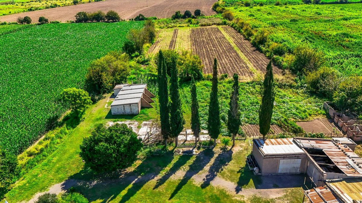 CAMPO VENTA 23 HECTAREAS RP 21 CERRILLOS - foto 12