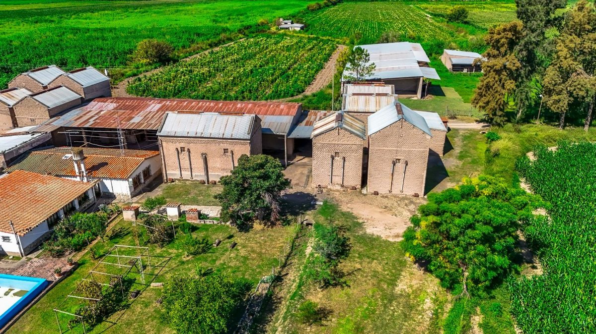 CAMPO VENTA 23 HECTAREAS RP 21 CERRILLOS - foto 13