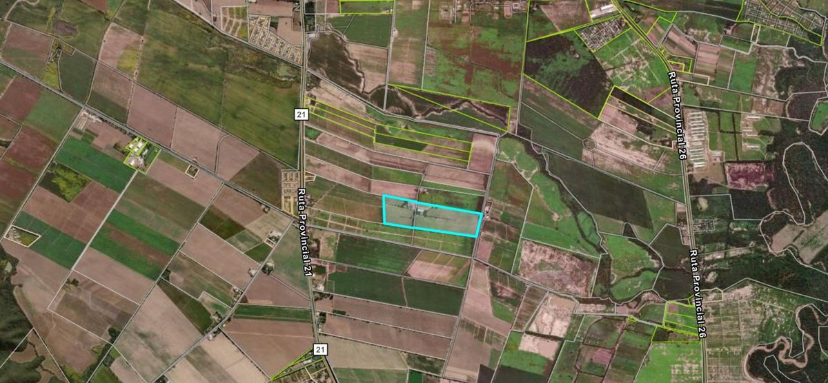 CAMPO VENTA 23 HECTAREAS RP 21 CERRILLOS - foto 3