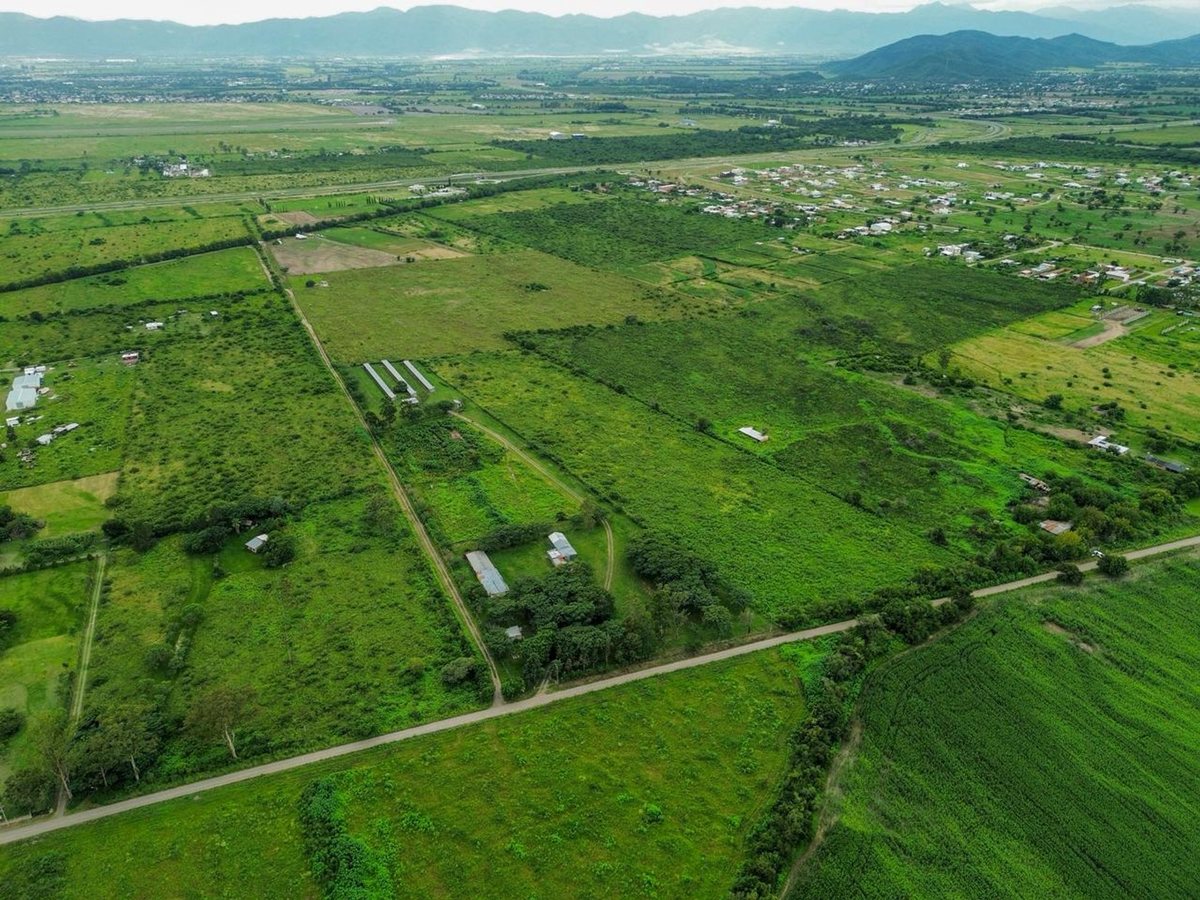 TERRENO DE 2 HA VENTA EN SAN LUIS - foto 8