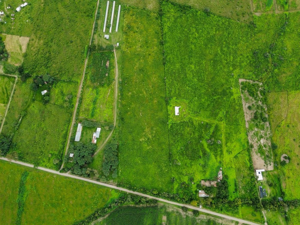 TERRENO DE 2 HA VENTA EN SAN LUIS - foto 5