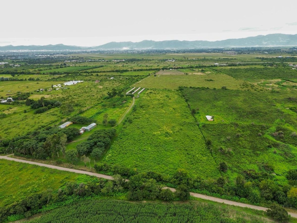 TERRENO DE 2 HA VENTA EN SAN LUIS - foto 6