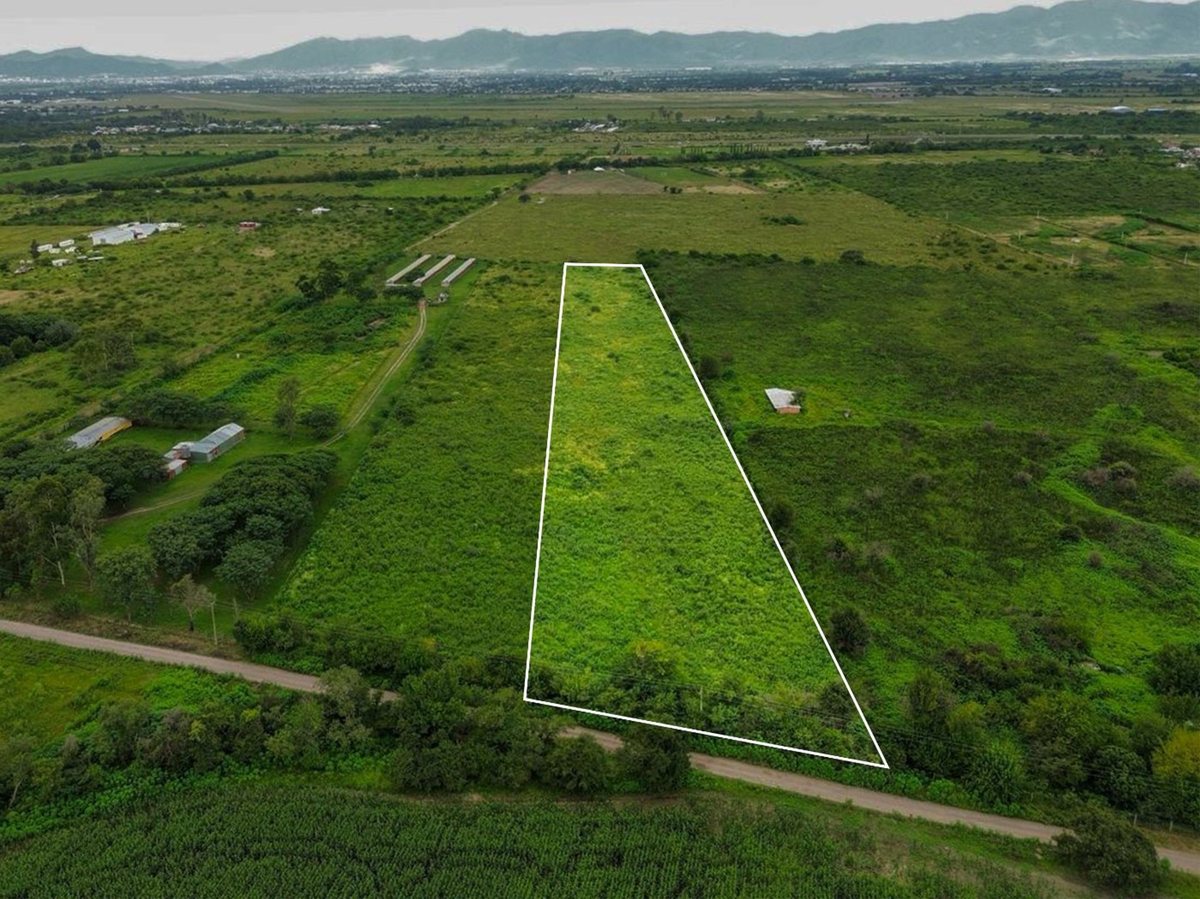 TERRENO DE 2 HA VENTA EN SAN LUIS - foto 4