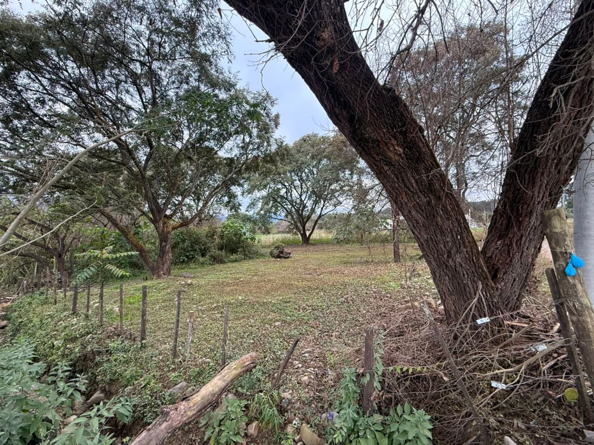 TERRENO EN VENTA EN VAQUEROS 442M2 - foto 5