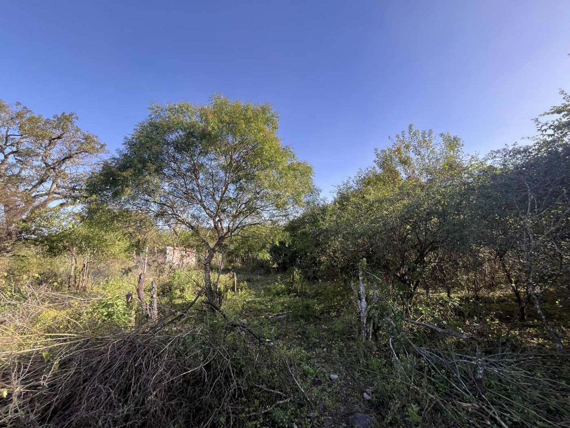 TERRENO EN VENTA EN VALLE ALEGRE LA CALDERA - foto 6