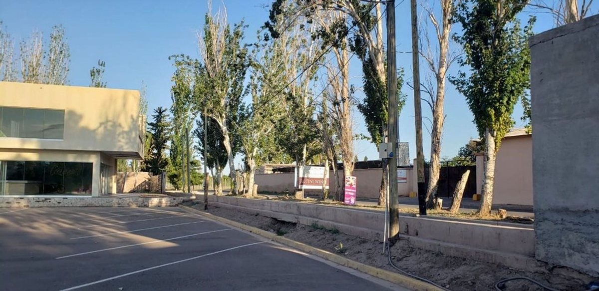 Imagen 5