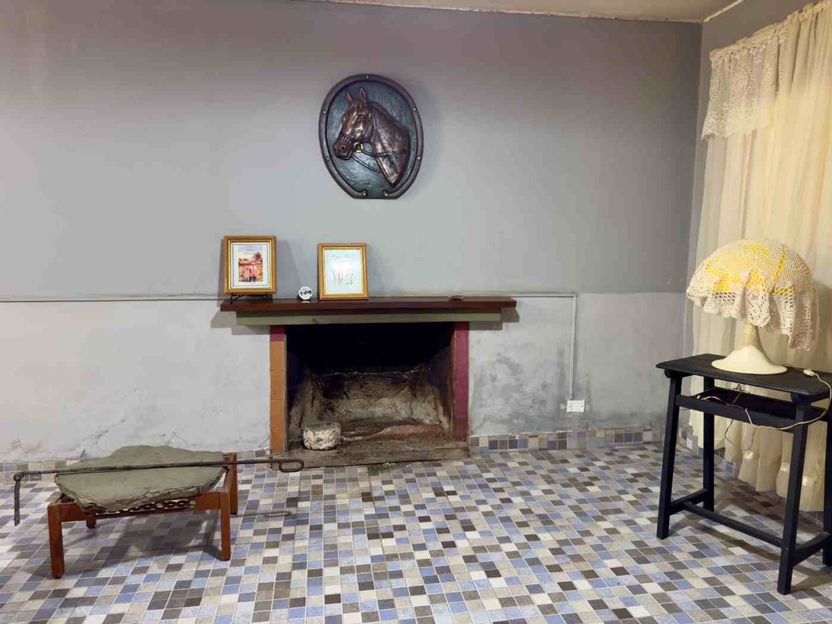 CASA 2 DORMITORIOS VENTA CERRILLOS RN 68 1 HA - foto 19