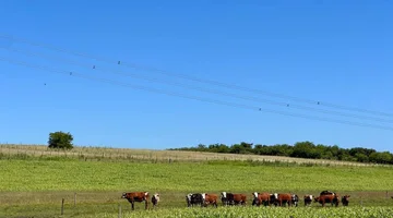 VENTA CHACRA 10 HECTAREAS, A MTS. DE RUTA 90
