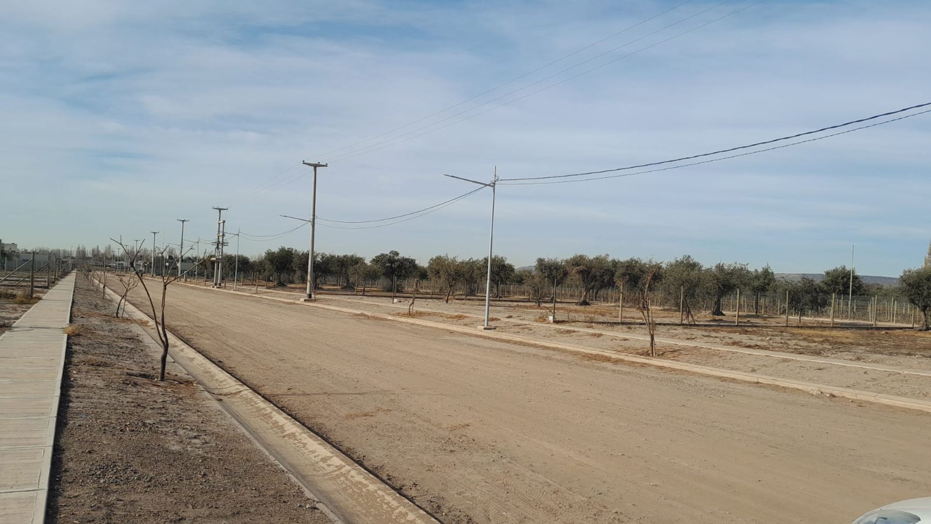 Imagen 19