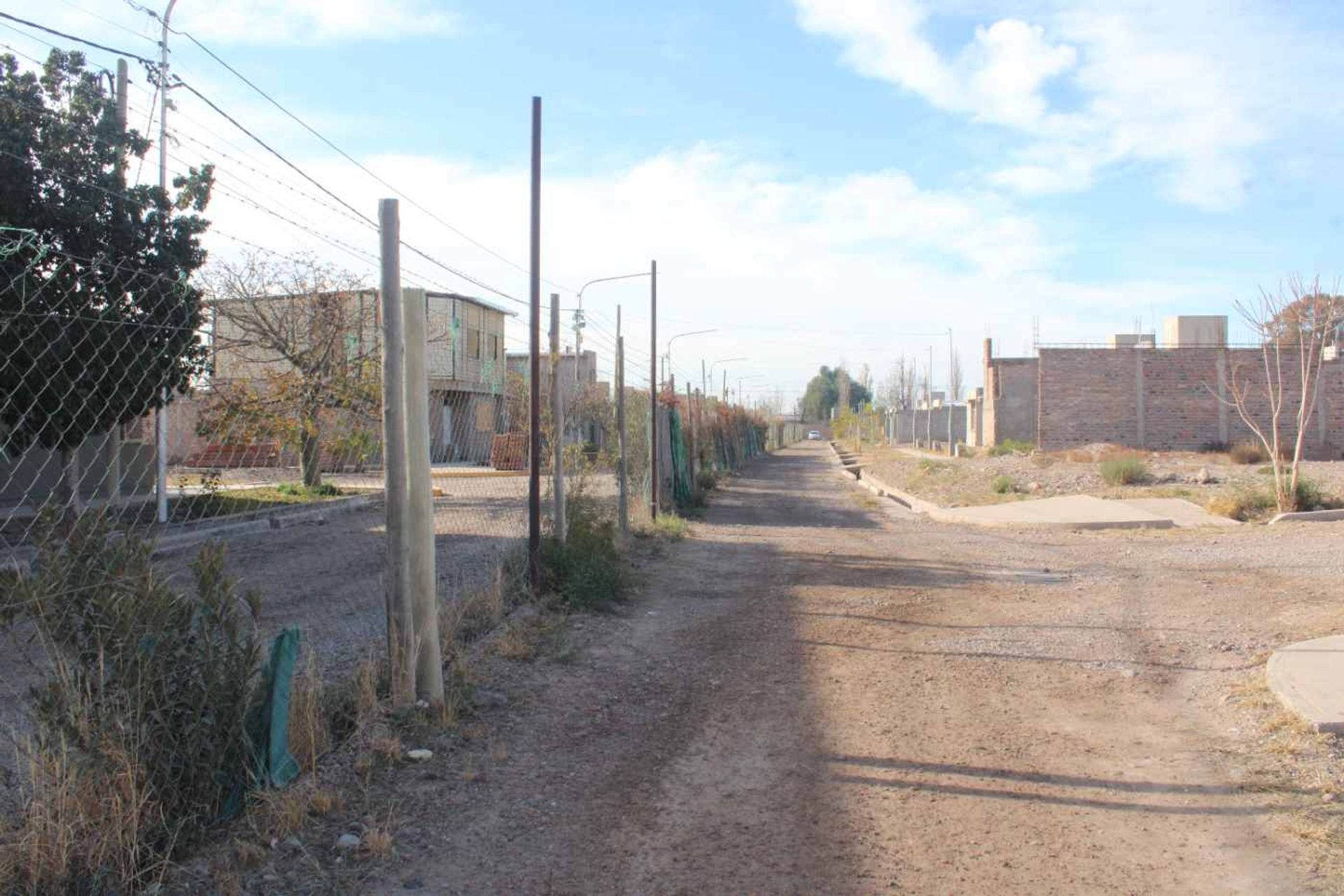Imagen 10