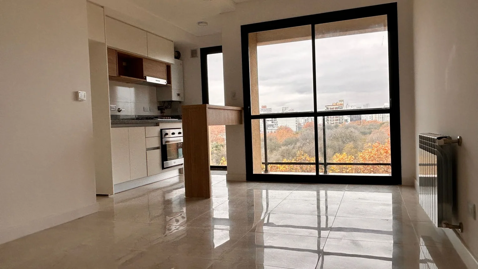 Departamento en venta en Mar del Plata, foto 2