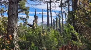 Venta de Lote Av Campanario Peninsula, Bariloche