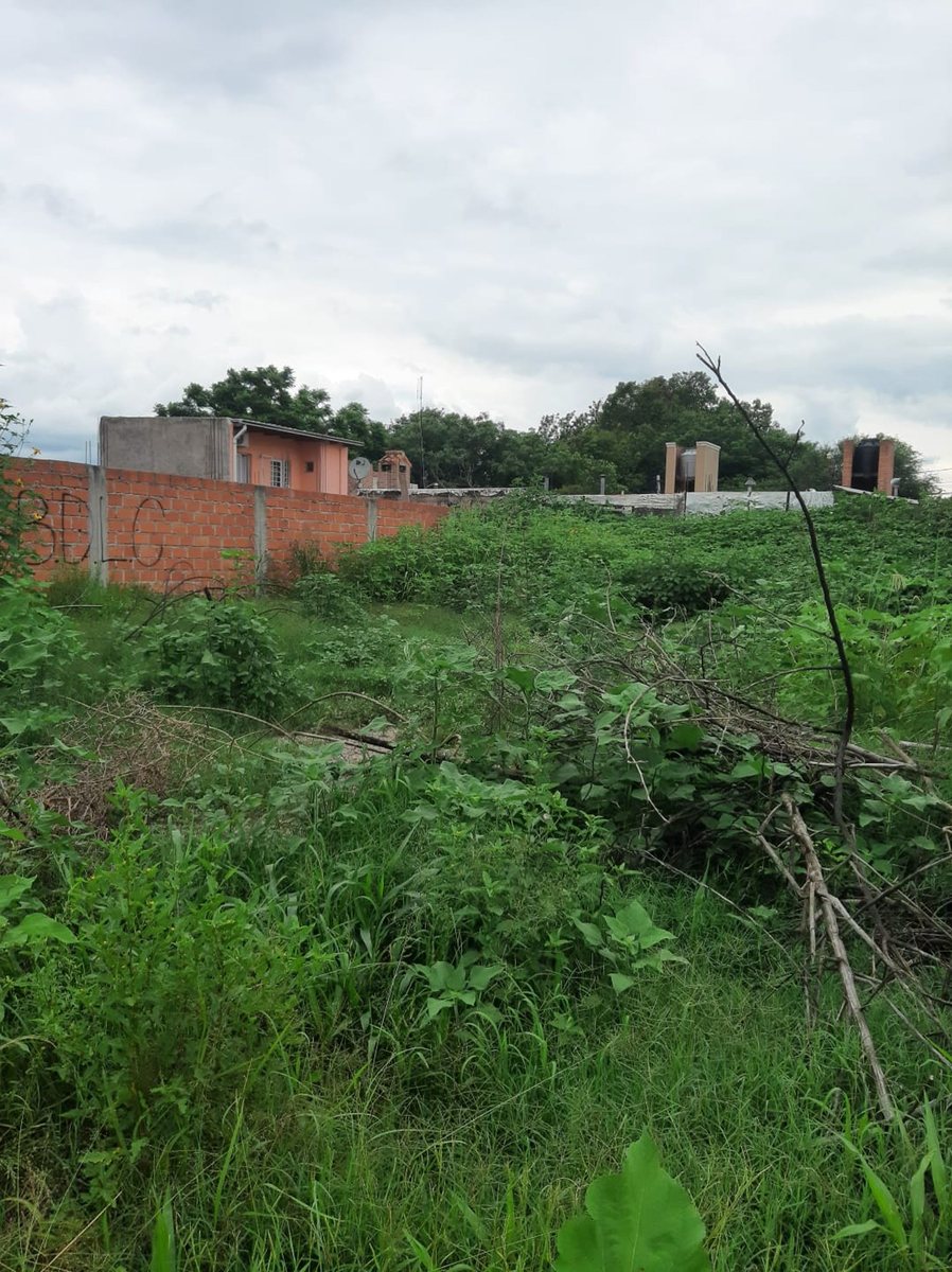 TERRENO VENTA LOTEO DON MIGUEL ZONA SUR FINANCIADO - foto 4