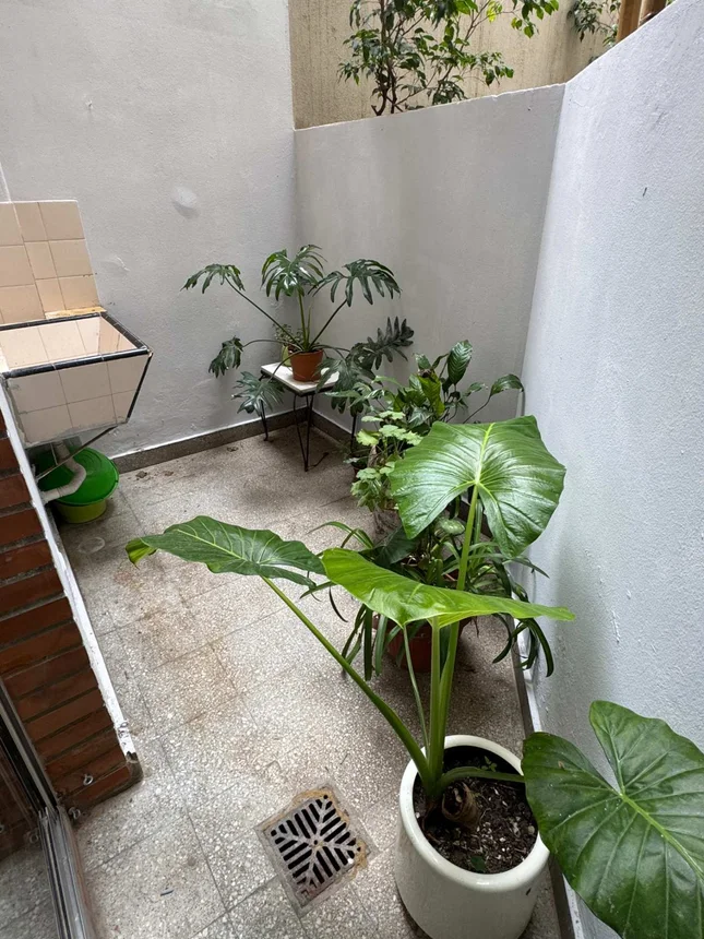 Venta depto dos ambientes con patio en palermo, foto 4