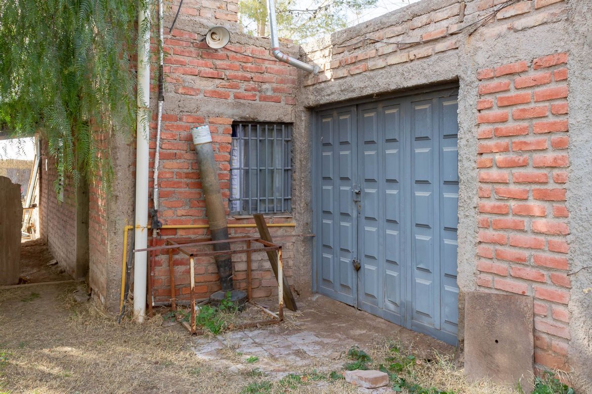 Imagen 14