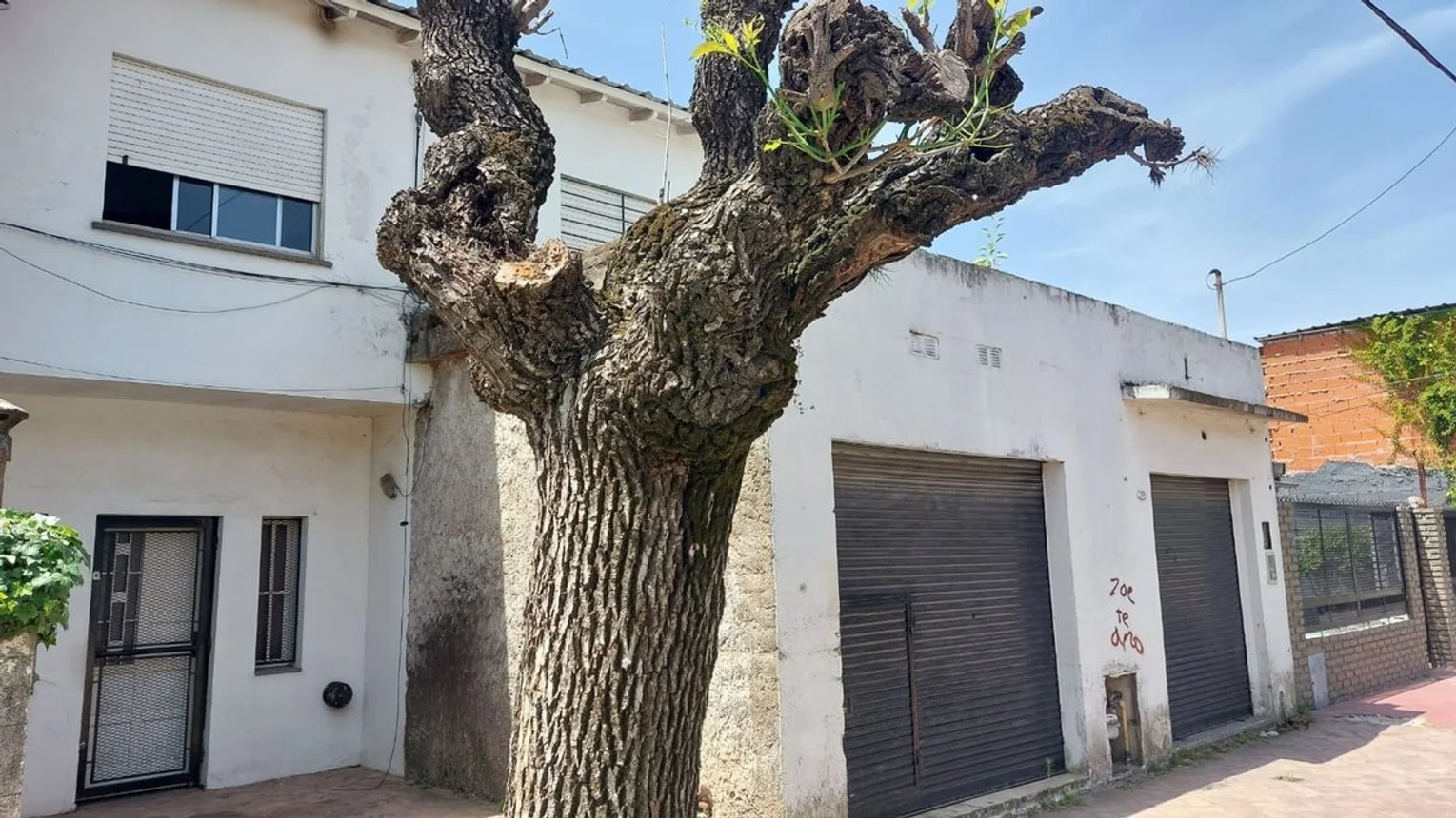Casa de 6 ambientes en venta en Paso del Rey, Sáenz Peña 1100, foto 2