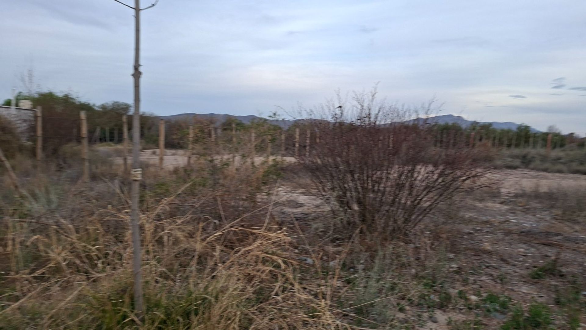 Imagen 7