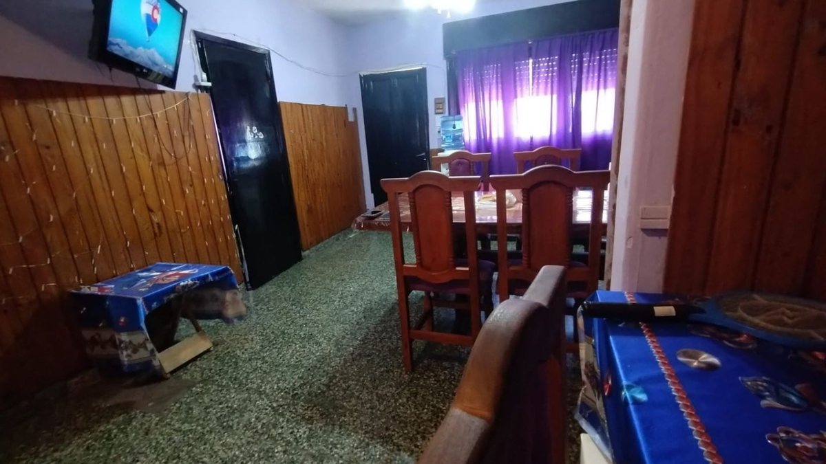 Foto 6 — Venta casa 3 ambientes y cochera en Quilmes Oeste