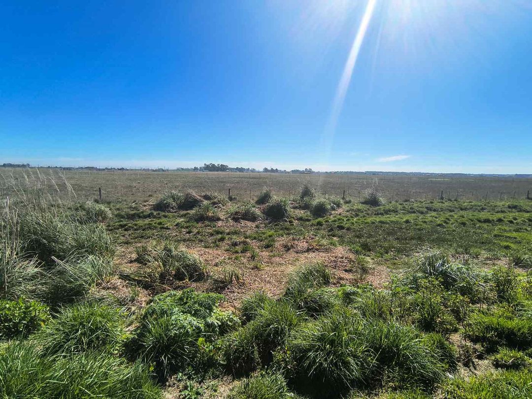 Venta Lote -  San Vicente - sobre RUTA 6