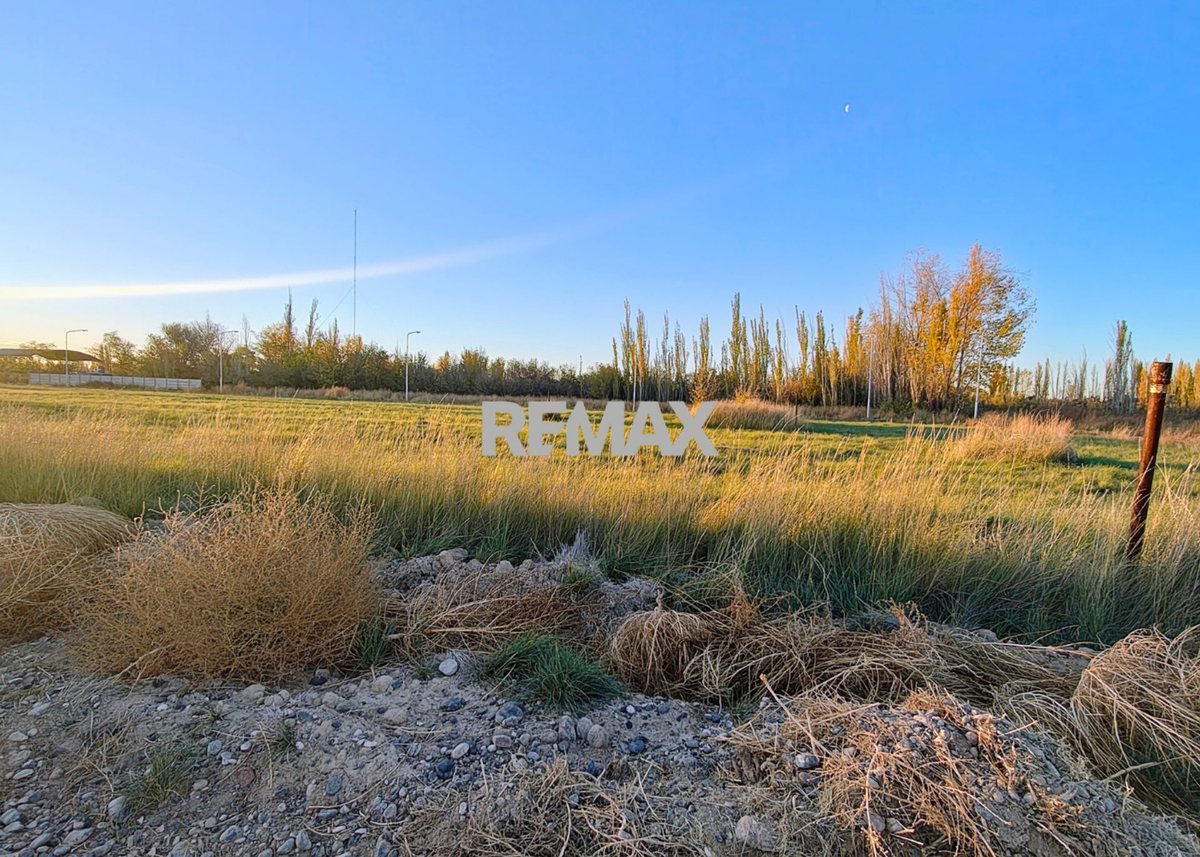 Foto 5 — VENTA DE TERRENOS EN LOTEO "LA AGUSTINA" DE ALLEN