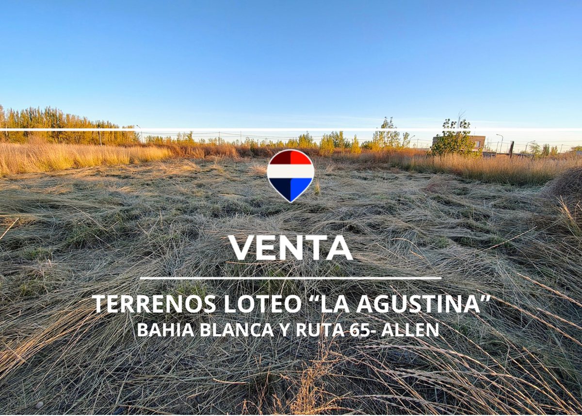 VENTA DE TERRENOS EN LOTEO "LA AGUSTINA" DE ALLEN