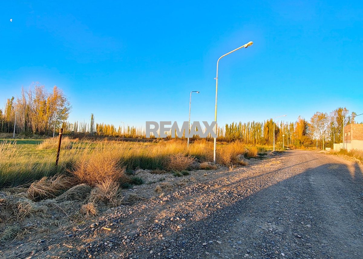 Foto 4 — VENTA DE TERRENOS EN LOTEO "LA AGUSTINA" DE ALLEN