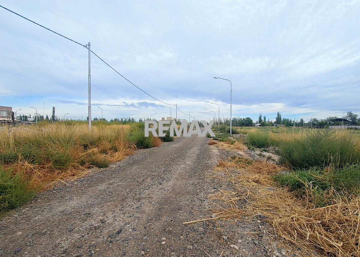 Foto 12 — VENTA DE TERRENOS EN LOTEO "LA AGUSTINA" DE ALLEN