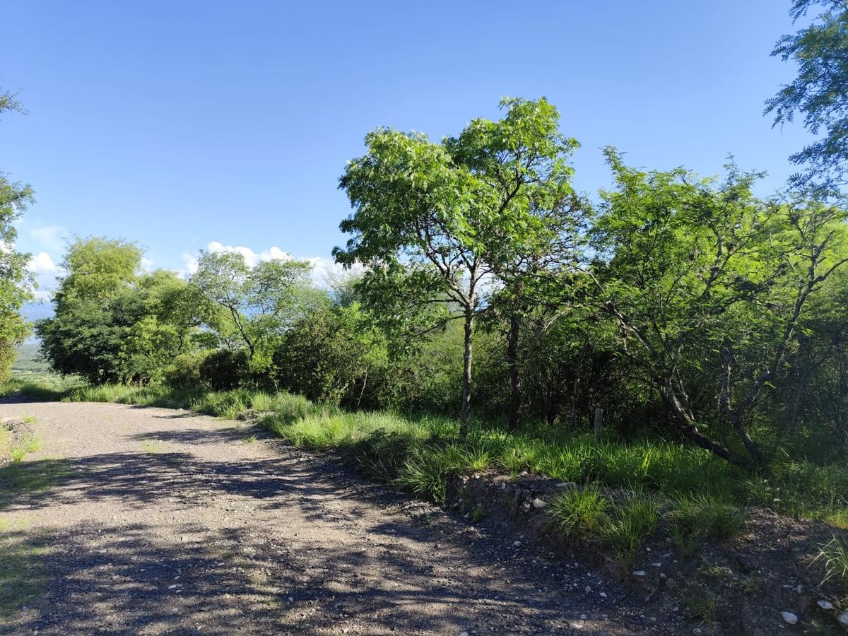 TERRENO VENTA - DIQUE CABRA CORRAL - LA VIÑA - foto 3