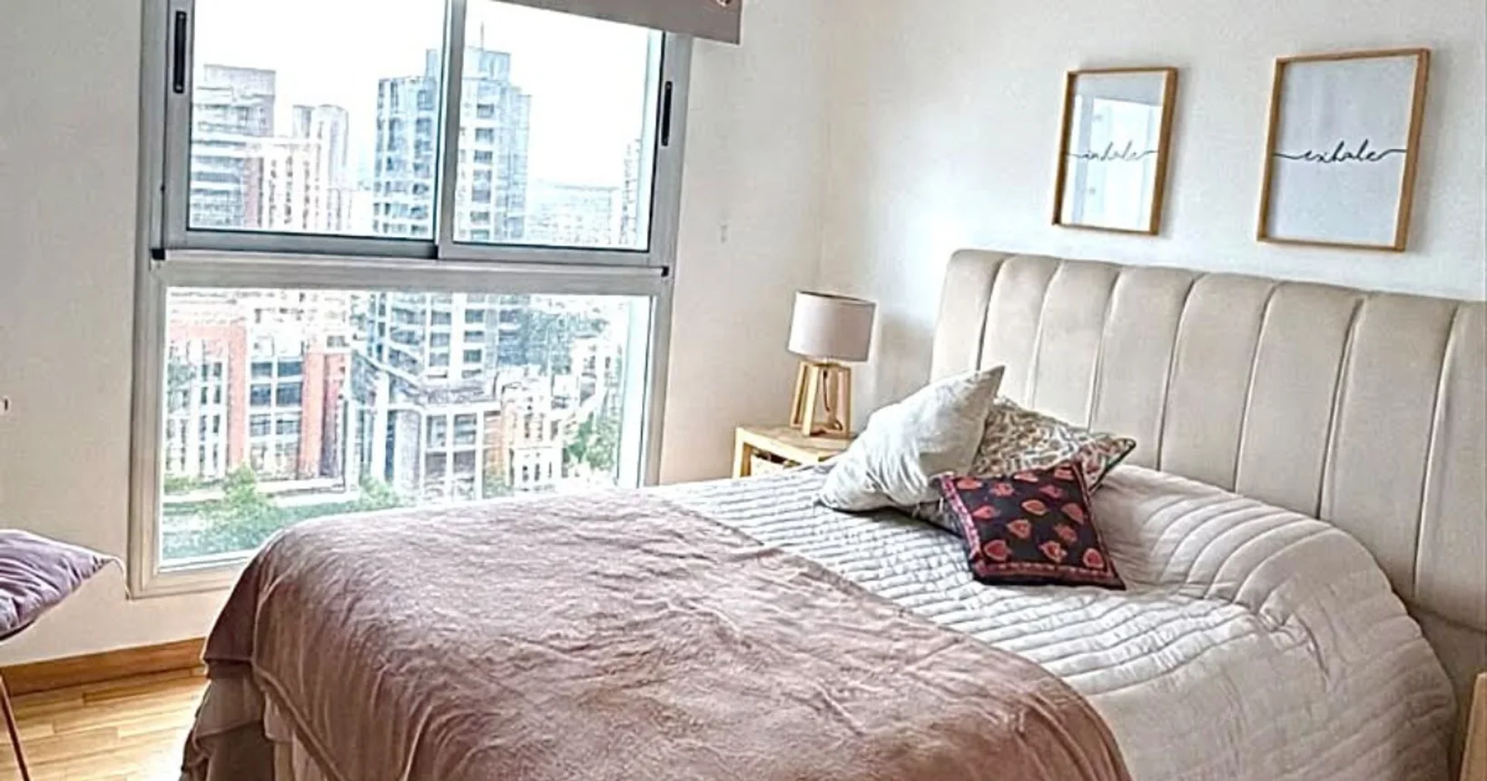 Departamento de 6 ambientes en alquiler en La Plata, 11 E/ 58 y 59 1200, foto 5