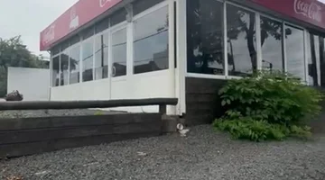 Alquiler local comercial gastronómico en Pando