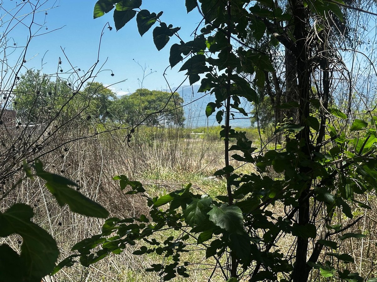 TERRENO VENTA SOBRE RUTA 36 CAMPO QUIJANO - foto 6