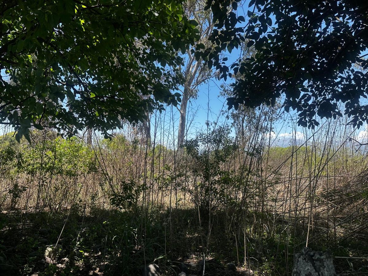 TERRENO VENTA SOBRE RUTA 36 CAMPO QUIJANO - foto 5