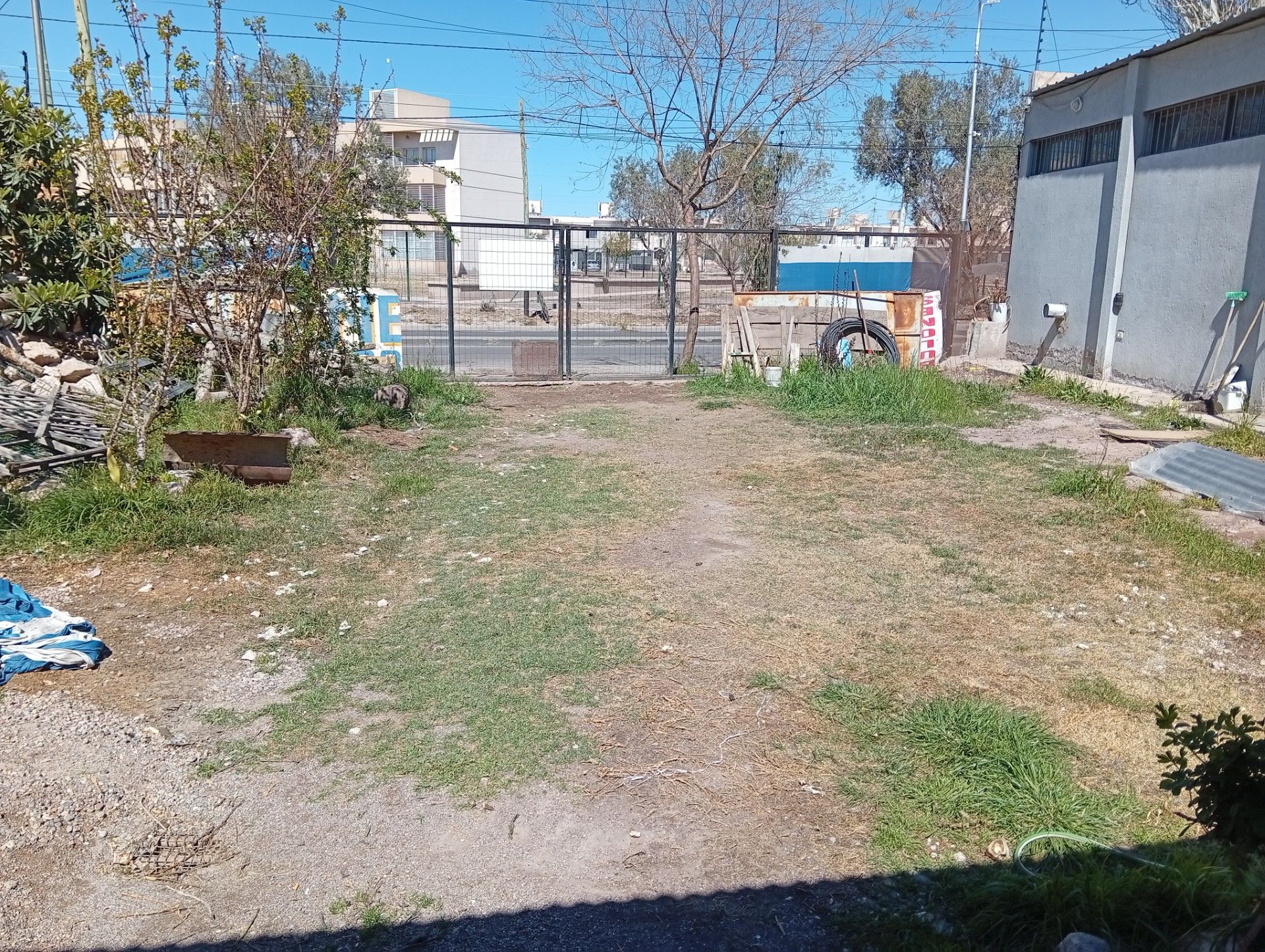 Imagen 5