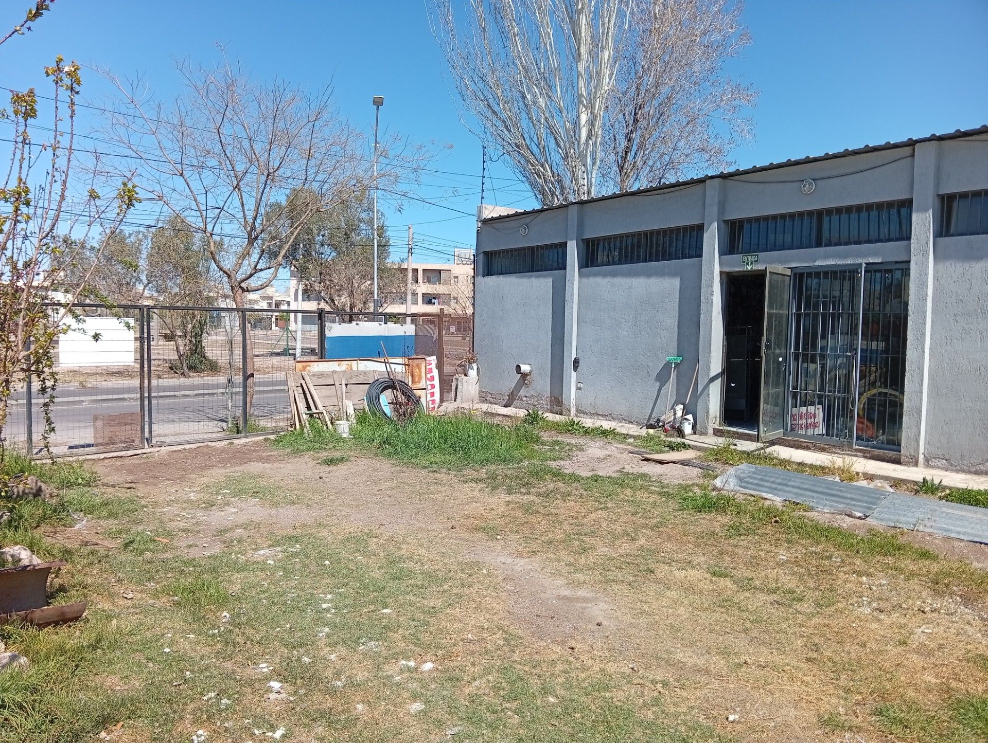 Imagen 6