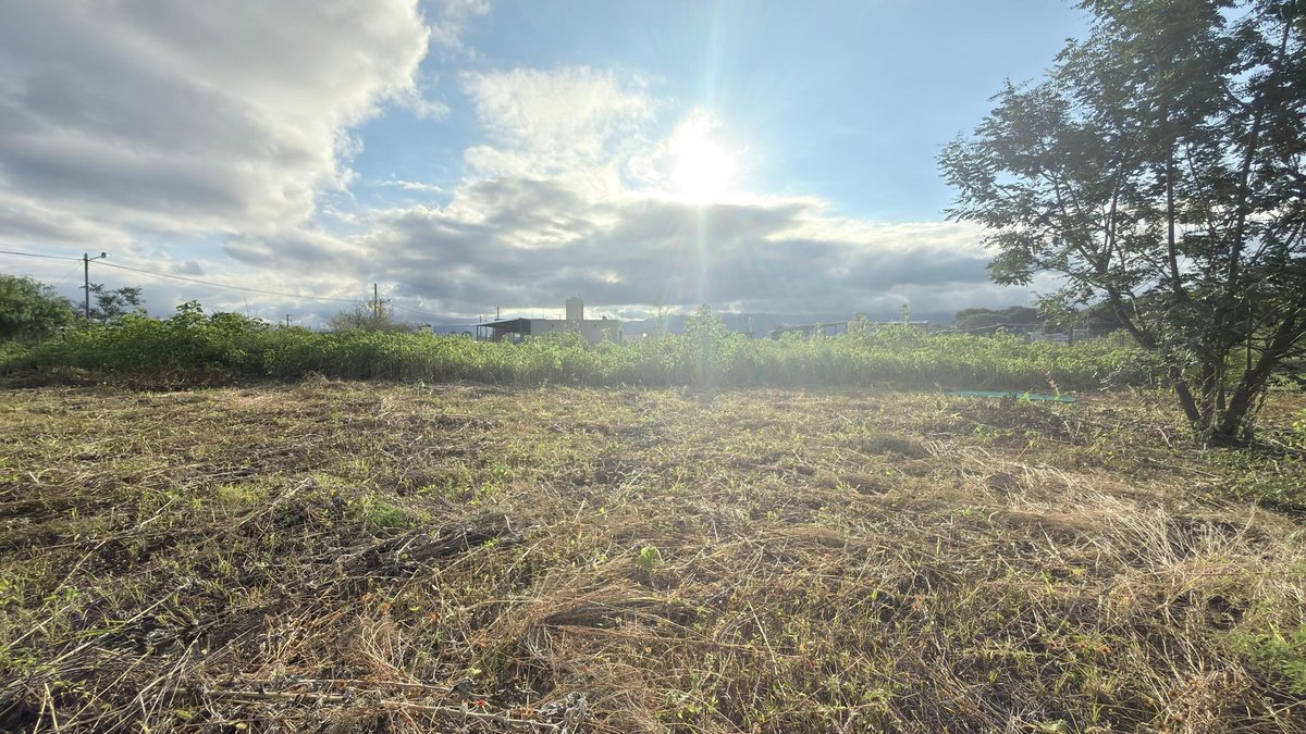 TERRENO VENTA EL MOLLAR II RP 24 ROSARIO DE LERMA - foto 3