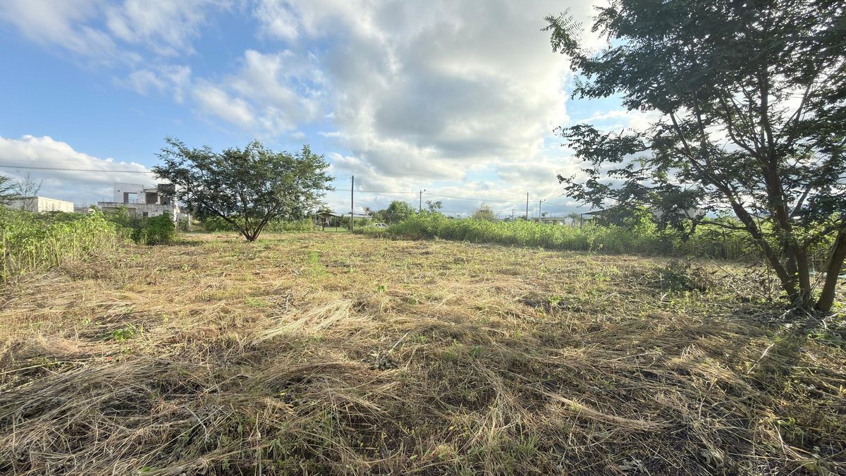 TERRENO VENTA EL MOLLAR II RP 24 ROSARIO DE LERMA - foto 7