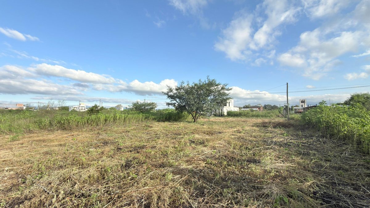 TERRENO VENTA EL MOLLAR II RP 24 ROSARIO DE LERMA - foto 10