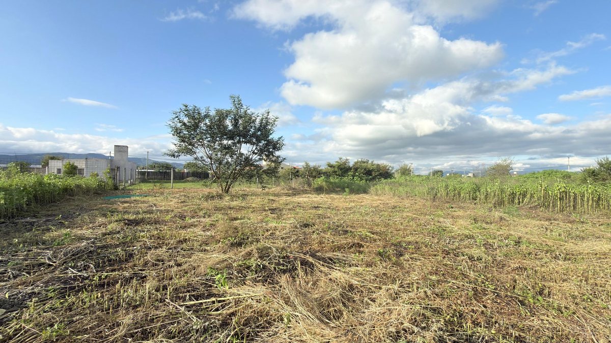 TERRENO VENTA EL MOLLAR II RP 24 ROSARIO DE LERMA - foto 14