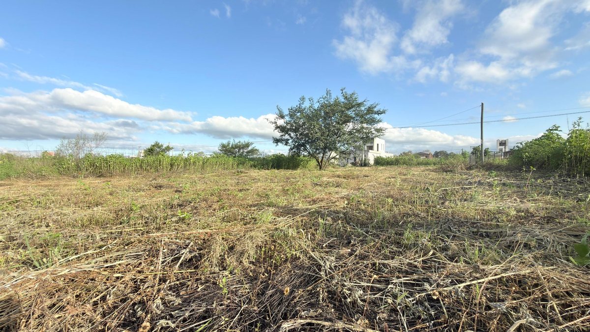 TERRENO VENTA EL MOLLAR II RP 24 ROSARIO DE LERMA - foto 6