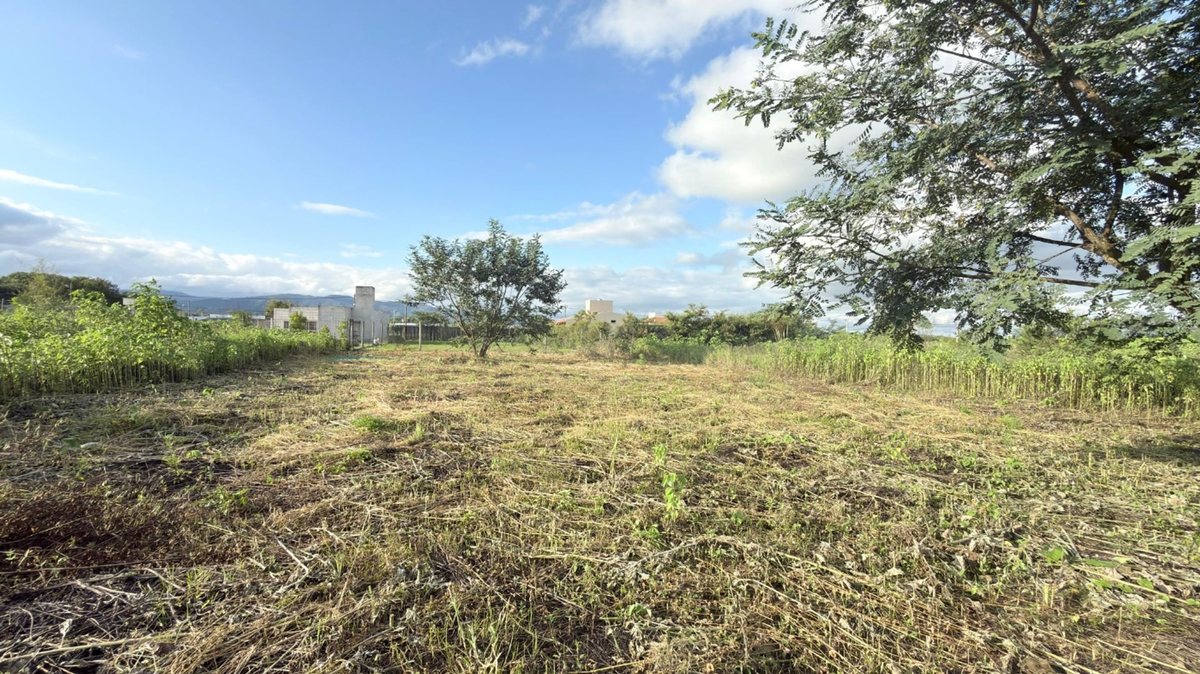 TERRENO VENTA EL MOLLAR II RP 24 ROSARIO DE LERMA - foto 11