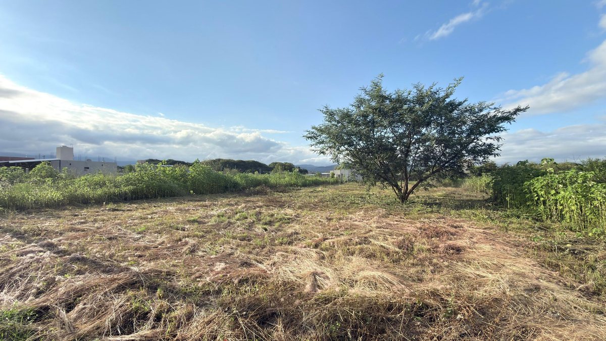 TERRENO VENTA EL MOLLAR II RP 24 ROSARIO DE LERMA - foto 5