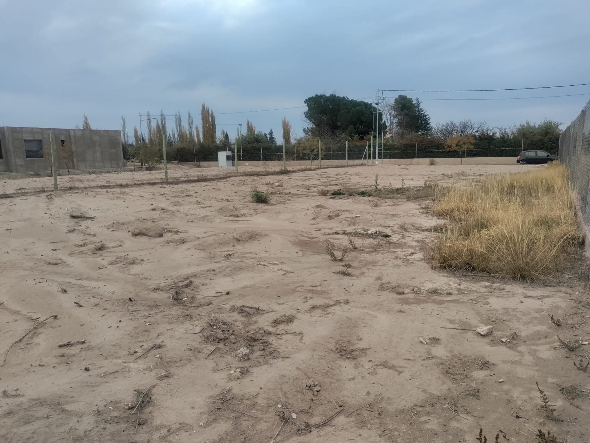 Imagen 16