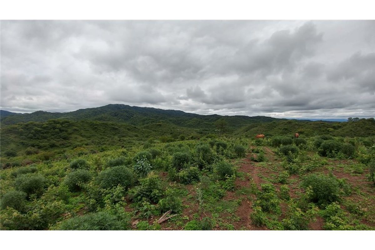 TERRENO VENTA EL CHAMICAL RP 48 - foto 3
