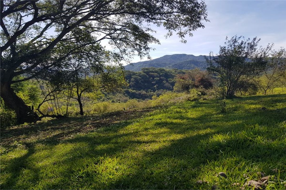 TERRENO VENTA EL CHAMICAL RP 48 - foto 5