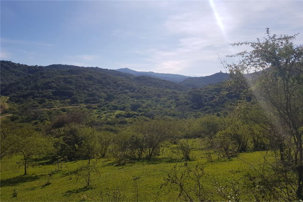 TERRENO VENTA EL CHAMICAL RP 48 - foto 2